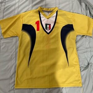 Italy Buffon soccer jersey